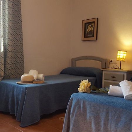Chalet Las Adelfas Chaparrillo Conil De La Frontera Εξωτερικό φωτογραφία